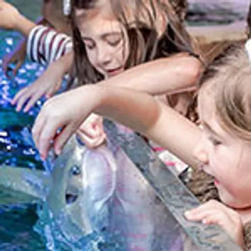 San Antonio Aquarium, San Antonio's Best & Most Hands On Aquarium Photo