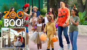 San Antonio Zoo Hours, Tickets & More Photo