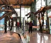 This image shows visitors at a museum observing the towering skeletal displays of a Tyrannosaurus rex and another dinosaur offering a glimpse into prehistoric life