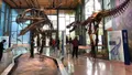 Witte Museum Photo