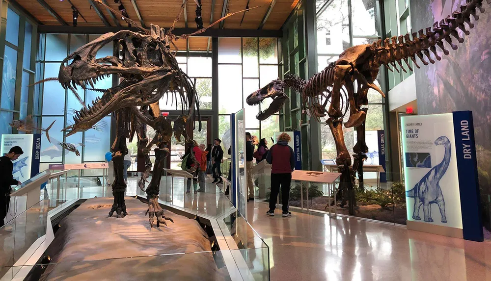 This image shows visitors at a museum observing the towering skeletal displays of a Tyrannosaurus rex and another dinosaur offering a glimpse into prehistoric life