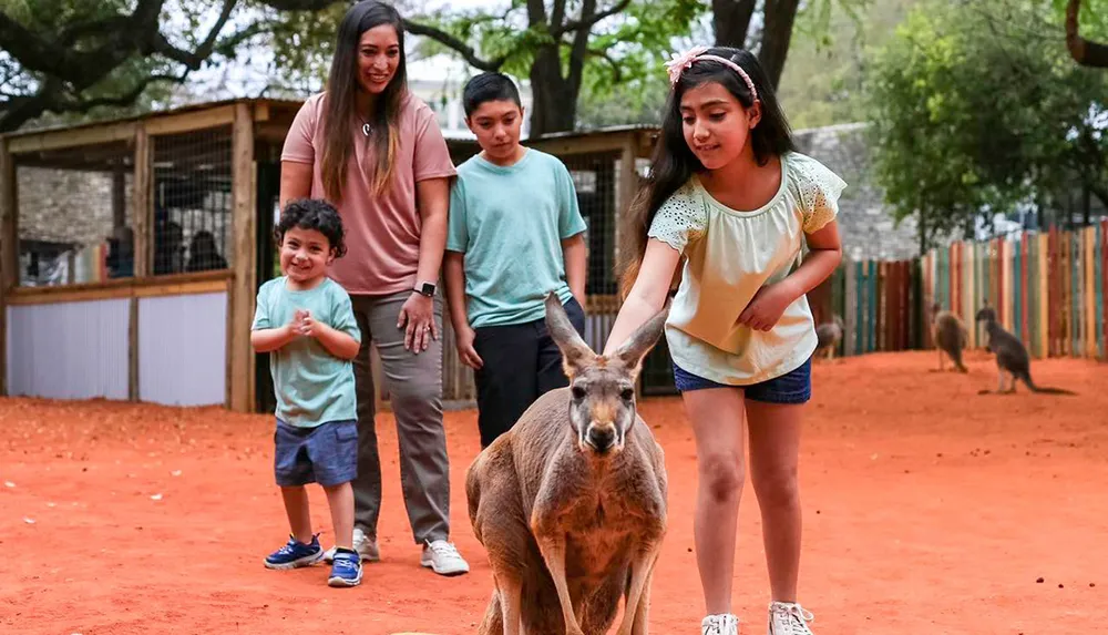 A family is enjoying an encounter with a kangaroo in what appears to be a wildlife park or zoo setting