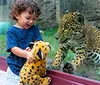 A family is happily observing a giraffe at a zoo or wildlife park