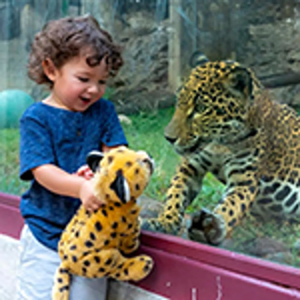 A child holding a plush toy is joyfully looking at a real leopard through a glass enclosure