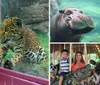 A family is happily observing a giraffe at a zoo or wildlife park