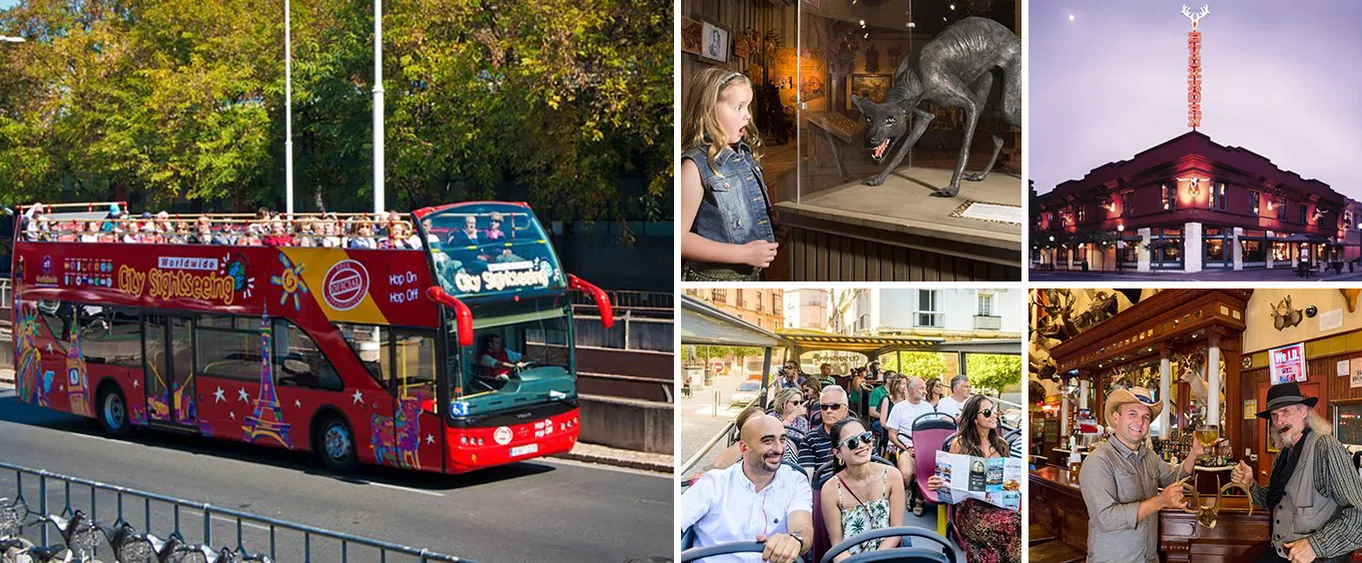 48-Hour San Antonio Hop-On Hop-Off Tour with Buckhorn Saloon and Museum of Art Admission