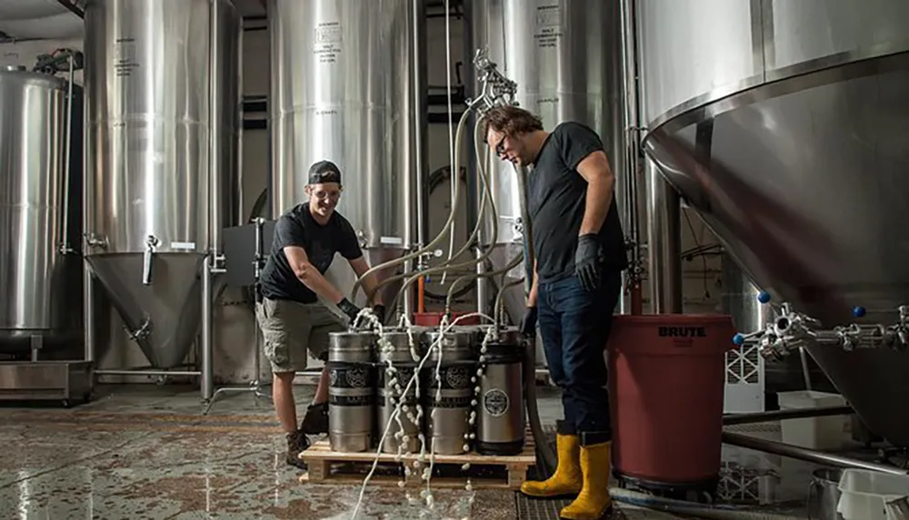 Two individuals are working with equipment and kegs in a brewery filled with large stainless steel fermenting tanks
