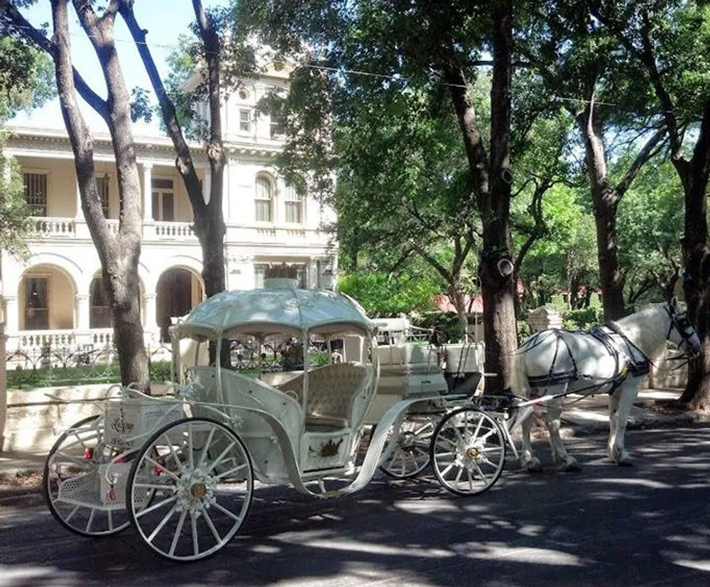An empty white horse-drawn carriage stands on a tree-lined street in front of a classic building