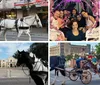 Lollypop Carriage Company Downtown San Antonio Carriage Rides
