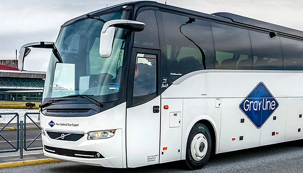 The image shows a modern white Gray Line tour bus parked outdoors likely awaiting passengers