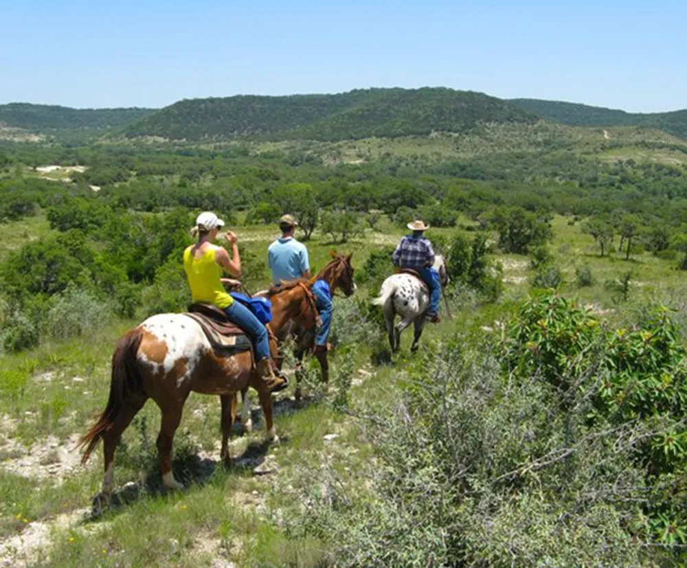 A group of people are horseback riding along a trail through a lush green landscape