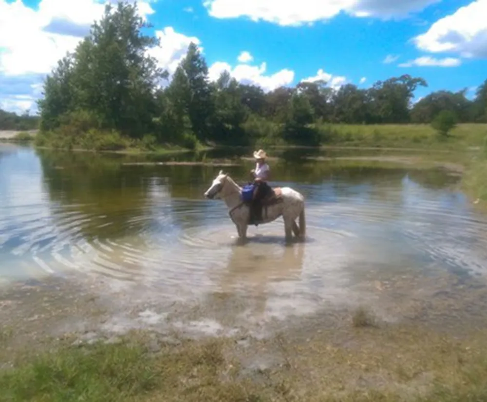 A person wearing a cowboy hat is riding a horse through a tranquil pond surrounded by greenery under a cloudy sky