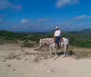 A group of people are horseback riding along a trail through a lush green landscape