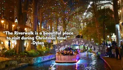 Popular Sightseeing Tours & Cruises