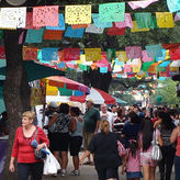San Antonio Full-Day Historic City Tour