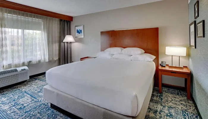 The image shows a neatly arranged hotel room with a large bed a patterned blue carpet wall art and a window with sheer curtains