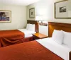 This image shows a neatly arranged hotel room with two beds with white linens and burnt orange bedspreads flanked by wooden bedside tables and headboards and decorated with framed artwork on the walls