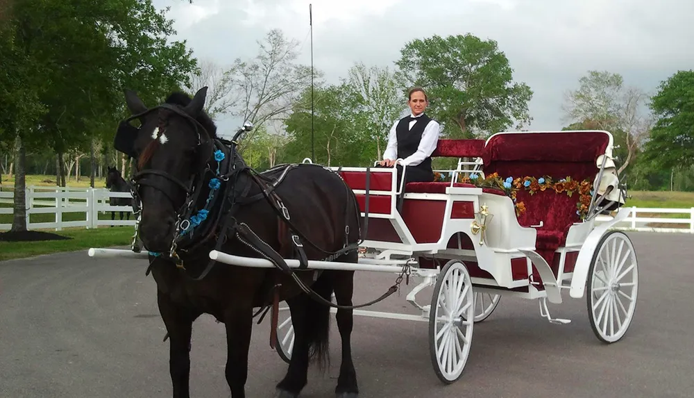 A person dressed in formal attire is driving a horse-drawn carriage adorned with flowers on a paved path with a white fence and trees in the background