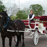 San Antonio Carriage Tour Thru King William Historical District