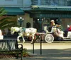 A white horse pulls a decorative carriage with passengers through a sunny urban area driven by a person wearing a hat