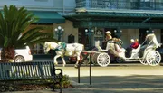 A white horse pulls a decorative carriage with passengers through a sunny urban area, driven by a person wearing a hat.
