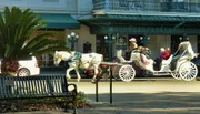 A white horse pulls a decorative carriage with passengers through a sunny urban area, driven by a person wearing a hat.