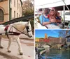 A white horse is pulling a decorated carriage with passengers on a city street while a driver in a cowboy hat looks on