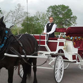 San Antonio Carriage Tour Of San Fernando Cathedral Area
