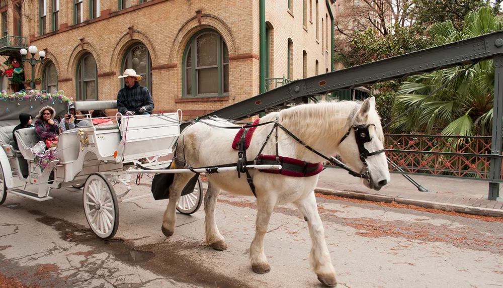 A horse-drawn carriage with passengers is moving along a city street with old buildings and lush greenery in the background