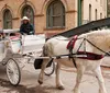 A white horse is pulling a decorated carriage with passengers on a city street while a driver in a cowboy hat looks on