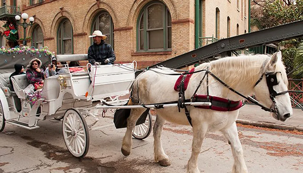 A white horse is pulling a decorated carriage with passengers on a city street while a driver in a cowboy hat looks on