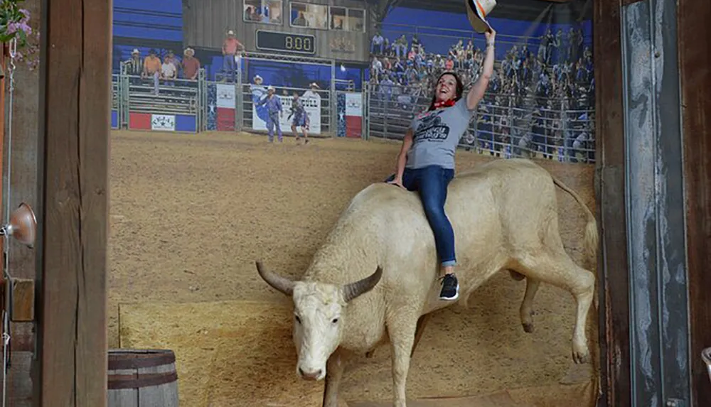 A person is having fun riding a stationary bull in a simulated rodeo experience complete with a cheering crowd backdrop