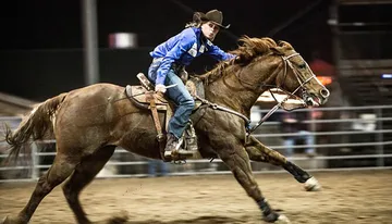 A focused rider in a blue shirt and cowboy hat is galloping on a brown horse in an equestrian arena.