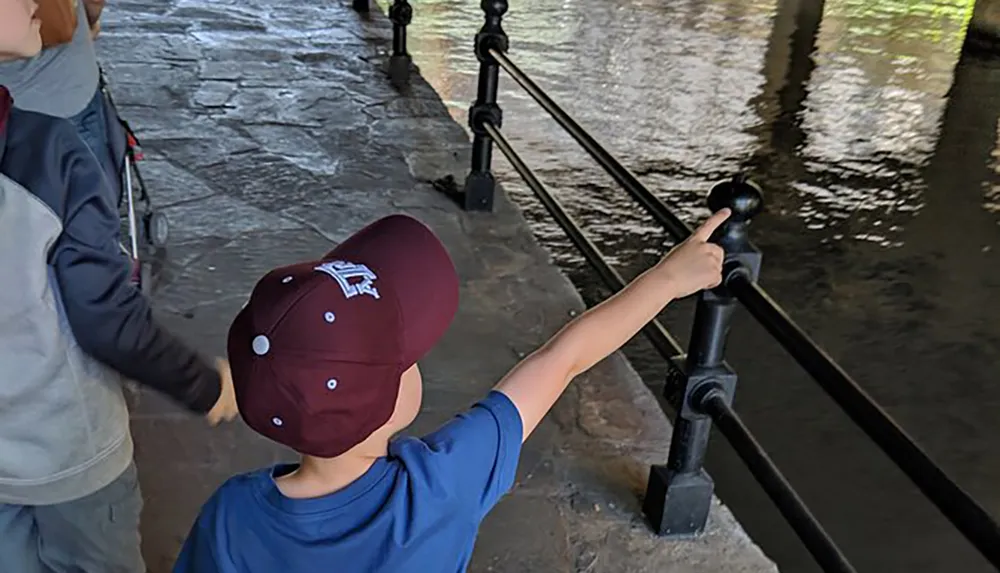 A child in a blue shirt and cap is pointing at something in the water while standing next to a metal railing