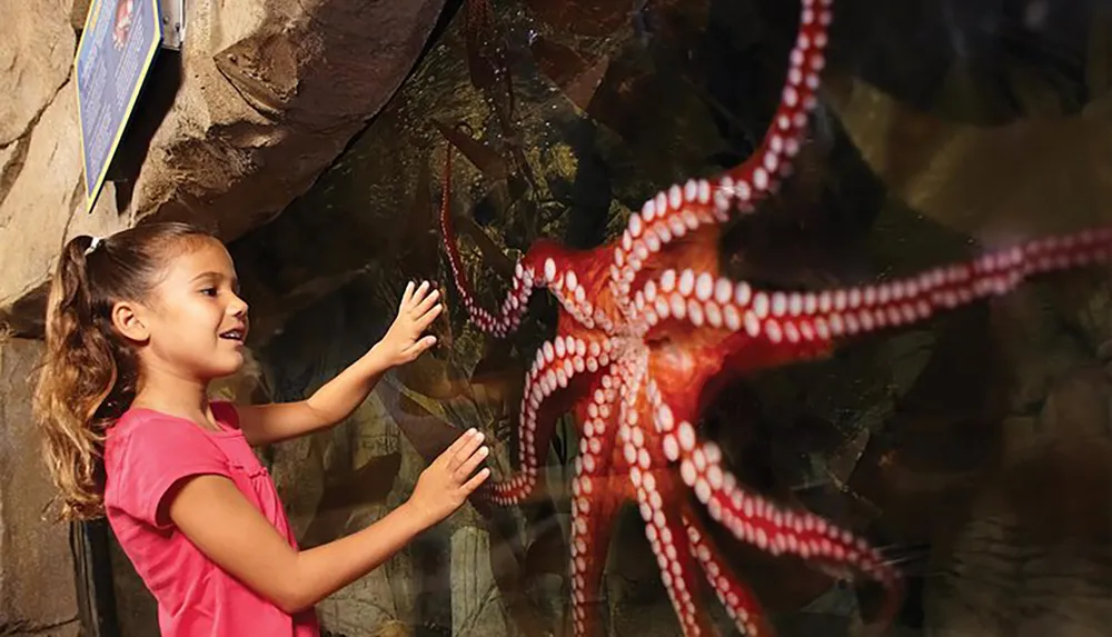 A young girl is joyfully interacting with a large octopus behind the glass of an aquarium exhibit