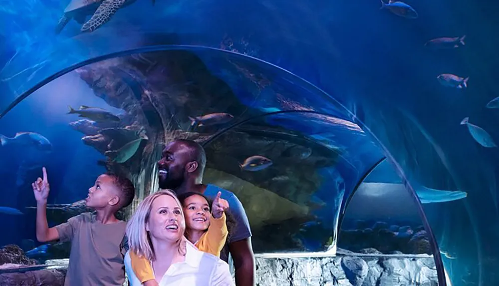 A family is enjoying an underwater view as they stand in a glass tunnel through an aquarium surrounded by various marine life