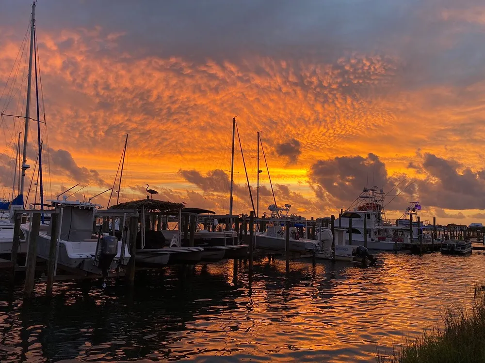The image captures a serene marina scene at sunset with vibrant orange clouds reflected in the water and silhouettes of boats and a bird against the striking sky