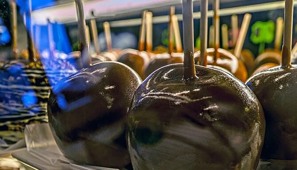 The image depicts a row of glossy chocolate-coated apples on sticks likely on display at a confectionery or fair