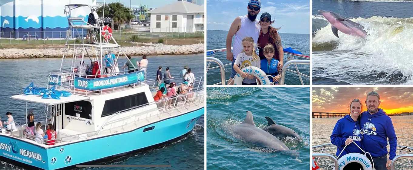 Frisky Mermaid Dolphin Tours in Pensacola Beach