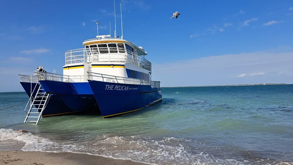 A ferry named THE PELICAN is moored close to the shore on a sunny day with clear blue skies as a seabird flies overhead