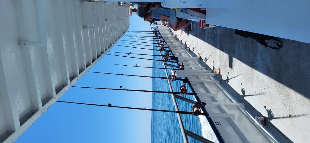 The image shows a row of fishing rods lined up along the railing of a pier or boat with people in the background against a clear blue sky however the photo is taken with a rotated perspective