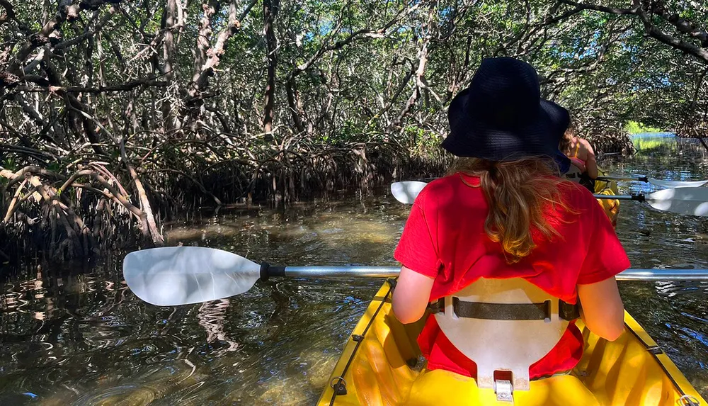 A person in a red shirt and black hat is kayaking through a mangrove forest