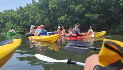 Popular Wildlife Tours