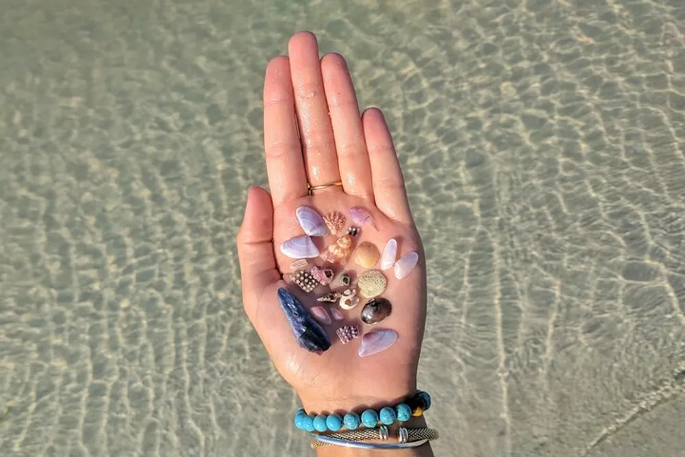 A persons open palm is holding an assortment of colorful sea shells above clear shallow water with a hint of a sandy bottom underneath