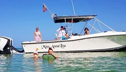 Popular Sightseeing Tours & Cruises
