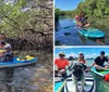 Two people are kayaking through a mangrove tunnel with intricate root systems overhead