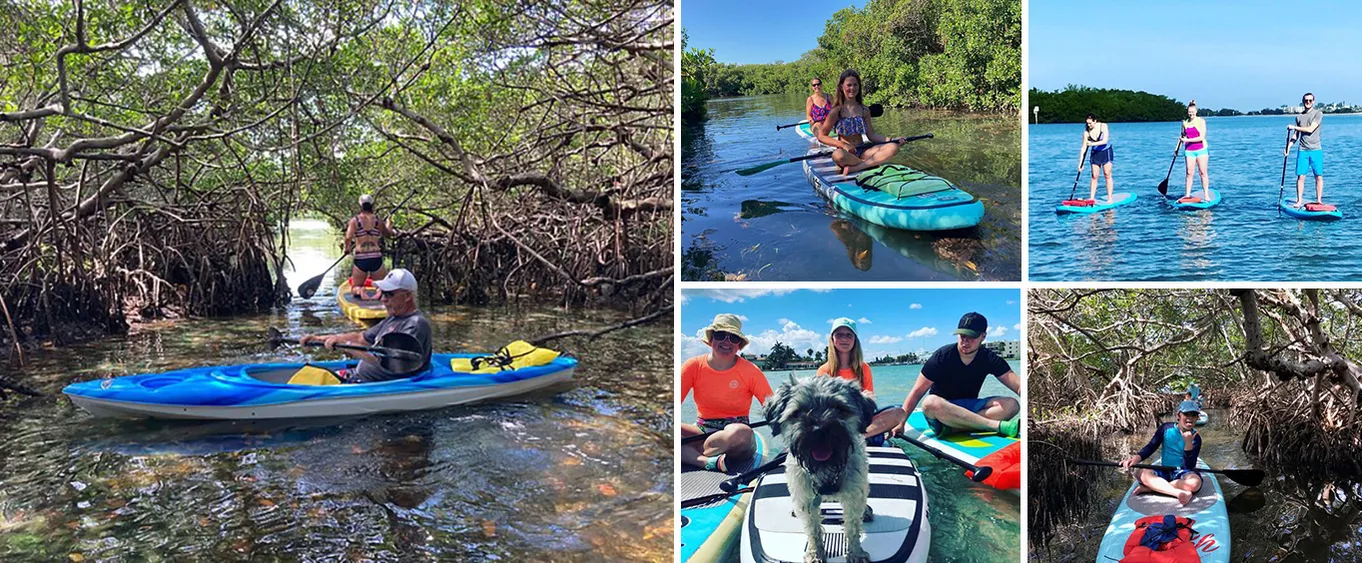 2h Rental Paddleboard Or Kayak in Treasure Island to John's Pass