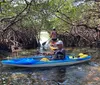 Two people are kayaking through a mangrove tunnel with intricate root systems overhead