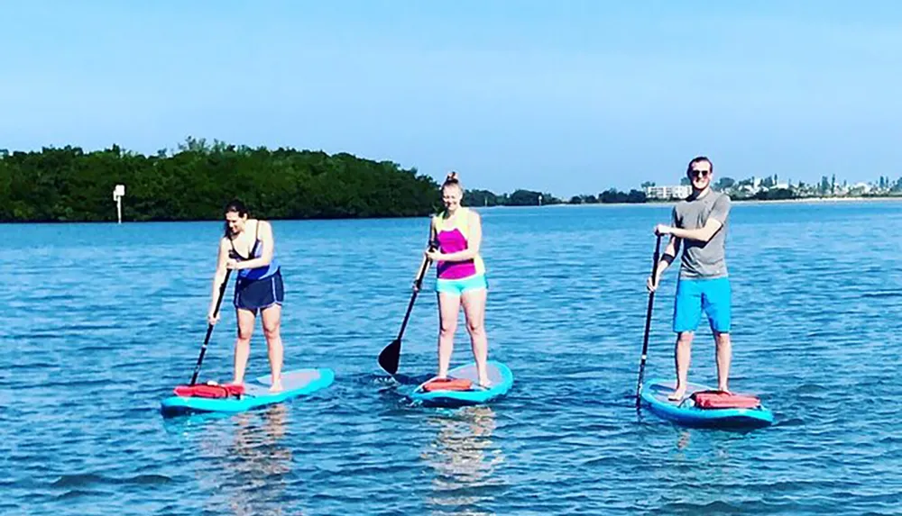 Three people are stand-up paddleboarding on calm blue waters against a backdrop of a clear sky and distant shoreline