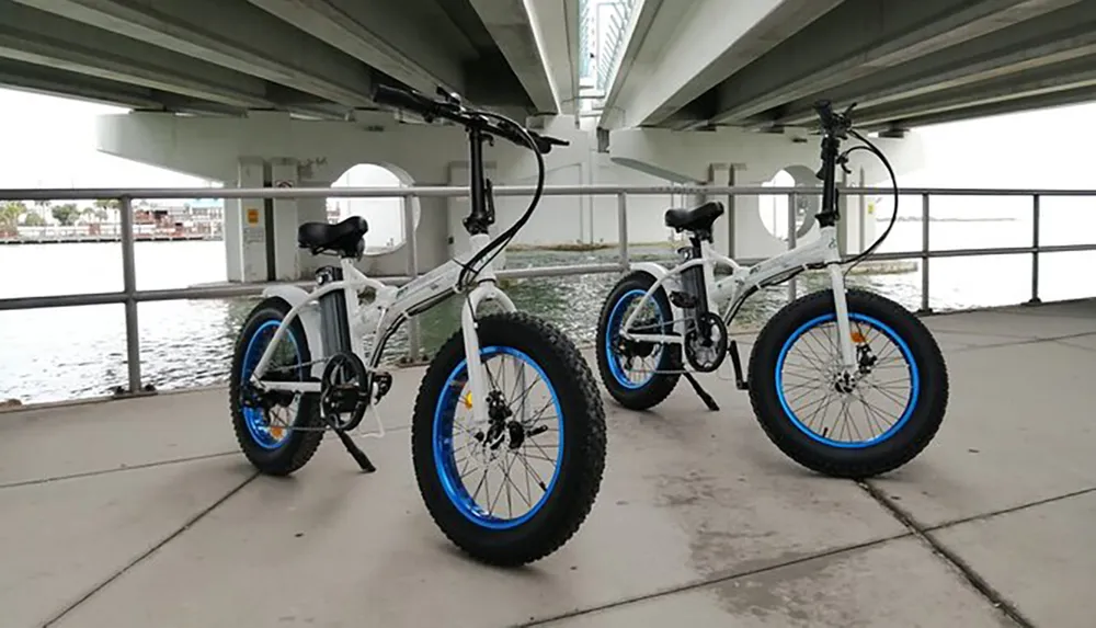 Two fat-tire electric bicycles are parked under a bridge near a body of water
